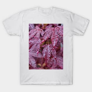 Japanese Acer Palmatum Atropurpurea Shrub T-Shirt
